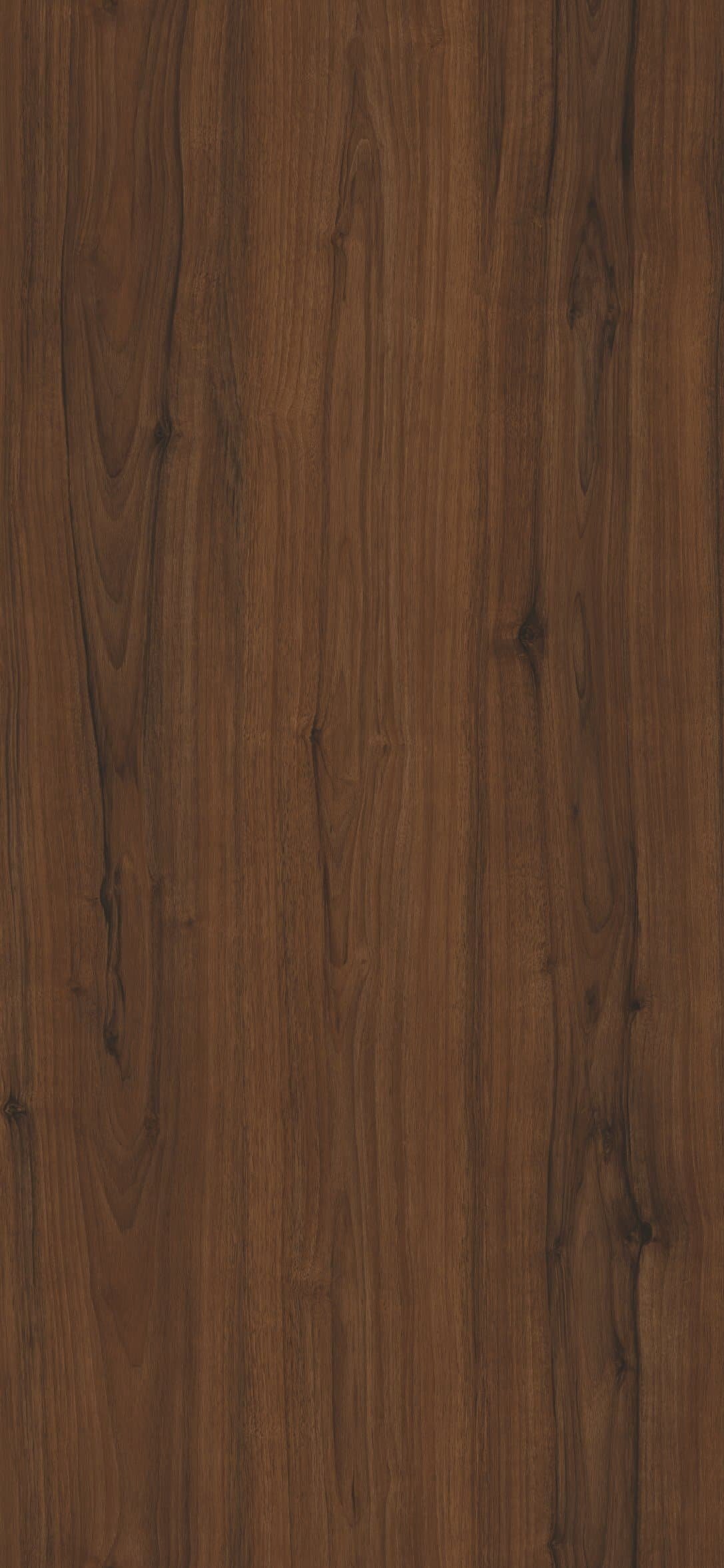 Diseño Koa